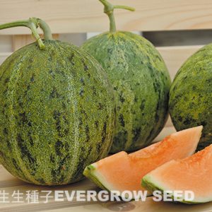 HAMI MELON F1 and SAPO TYPE