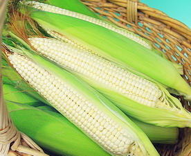 White Glutinous Corn