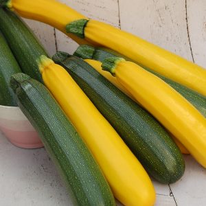 ZUCCHINI F1