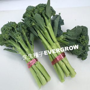 Hybrid Flowering Kale – 28002 YELLOW FLORA