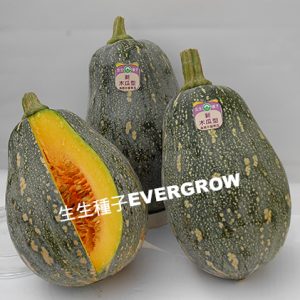 12451 NEW PAPAYA