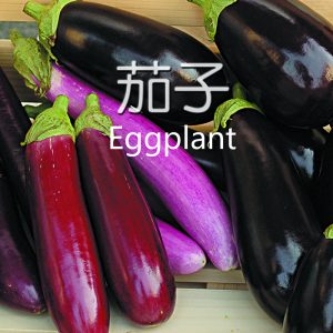 04. EGGPLANT F1