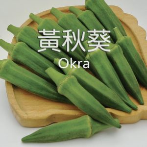 10. OKRA F1