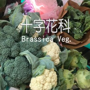 08. BRASSICACEAE F1